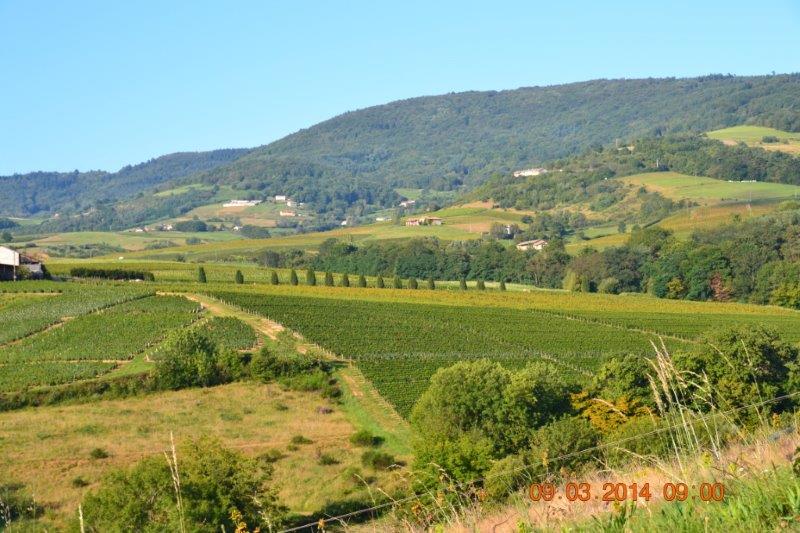 Vauxrenard Les commissions communales